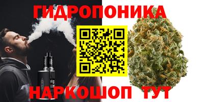 прущие крисы Балаково