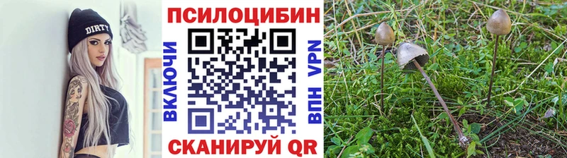 Псилоцибиновые грибы Psilocybine cubensis  Красноперекопск 