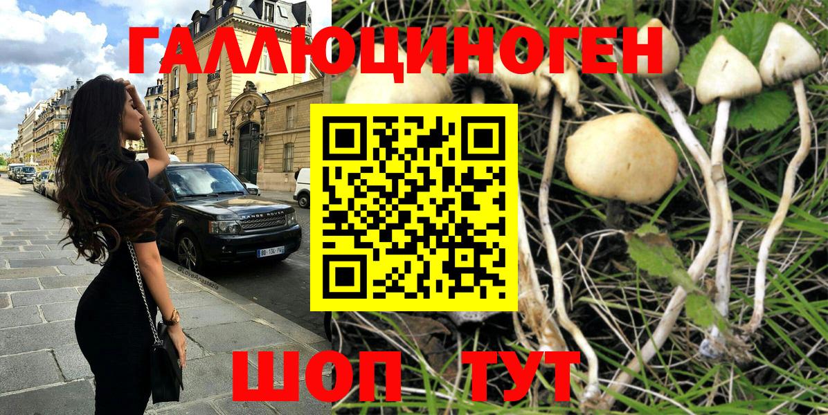 Галлюциногенные грибы мицелий  Вход с VPN  Красноперекопск 